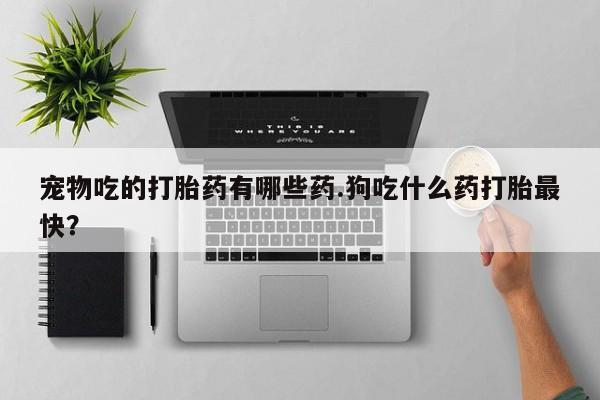 网上打胎药专门卖店宠物吃的打胎药有哪些药.狗吃什么药打胎最快？